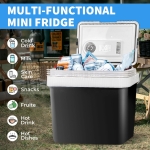 Ladă frigorifică electrică multifuncțională cu funcție de încălzire 24L - 12V/220V