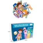 Set Corpul uman, puzzle lemn, 35 piese, model baietel, +6 ani