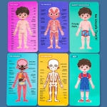 Set Corpul uman, puzzle lemn, 35 piese, model baietel, +6 ani