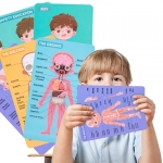 Set Corpul uman, puzzle lemn, 35 piese, model baietel, +6 ani