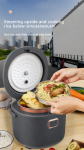 Multicooker cu display, timer si vas antiaderent - 2L 12V/24V si 220V – 200W